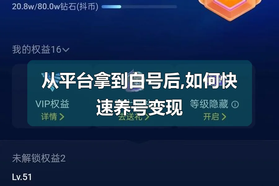 从平台拿到白号后,如何快速养号变现